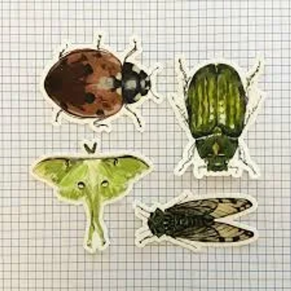 Bug Stickers-- Beetle, Luna Moth, Cicada, Lady Bug — Erin Nicole Studio