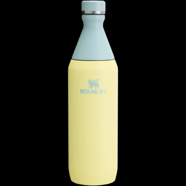 Stanley All Day Slim Bottle