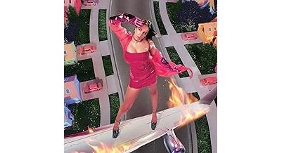 I Used To Think I Could Fly