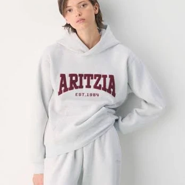 Aritzia Cozy Sweatfleece Hoodie Sweatshirt
