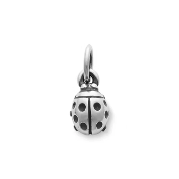 Ladybug Charm ⭐️