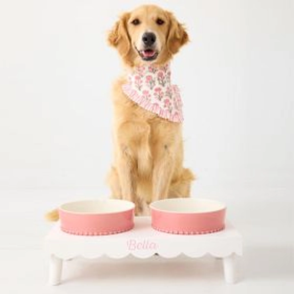 Build Your Pet Bowl Stand