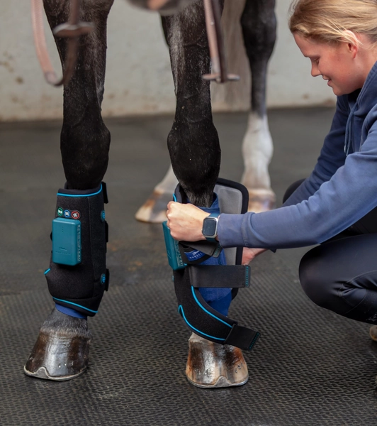 Compression Therapy boots for horse - HorseLinkTech