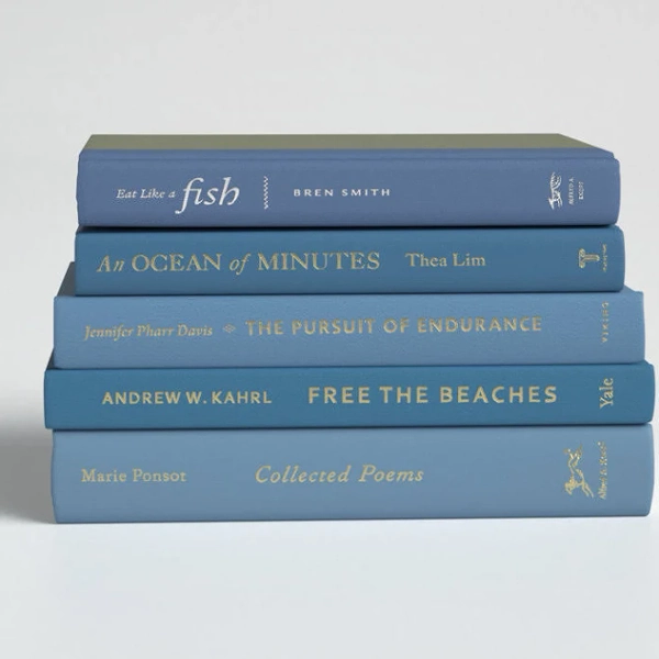 Birch Lane Blue Decorative Book Stack - 5 Hardback Books