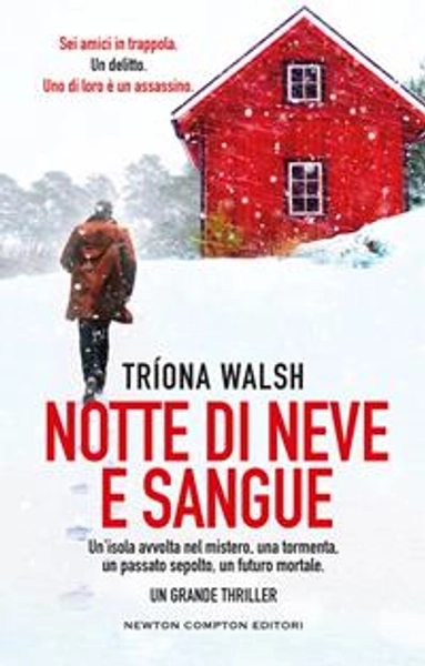 Notte di neve e sangue - Triona Walsh - Libro - Newton Compton Editori - Nuova narrativa Newton | Feltrinelli