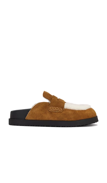 Steve Madden / Tomlin Clog