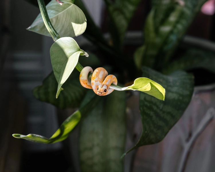 Mini Ball Python Snake Sculpture – Hand-Painted Polymer Clay Charm