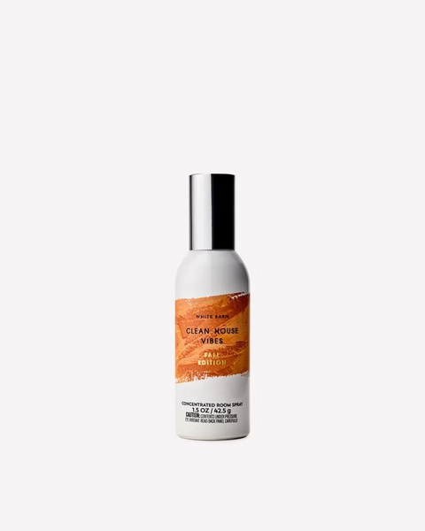 Clean House Vibes - Fall Edition Concentrated Room Spray