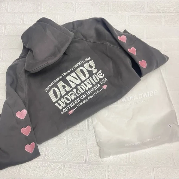 Dandy Worldwide Hoodie