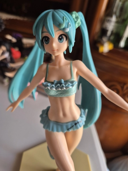 Vocaloid Hatsune Miku Mizutama Bikini