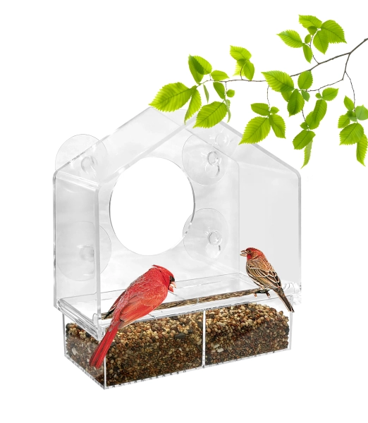 Style Selections Birdfeeder Plastic Window-mount (suction cup) Window Bird feeder - 0.625-lb