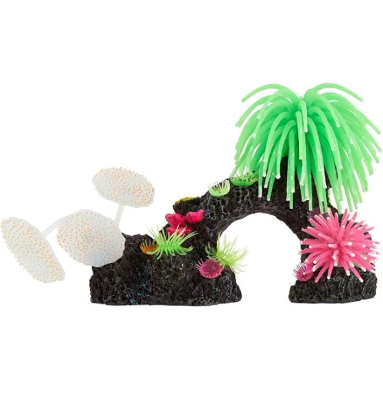 PetSmart Top Fin Coral Silicone Swim-Thru