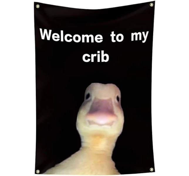 Tapestry Banners Blanket Duck 3D Funny Bedroom Living Room Dorm Teens Room College Dorm Wall Porch