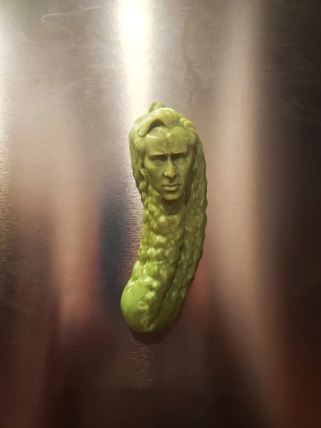 Picolas Cage Fridge Magnet - Nicolas Cage 3D