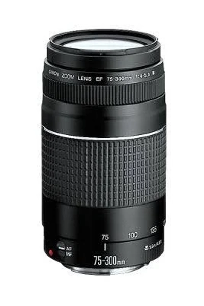 Canon 75-300mm f/4-5.6 EF III Lens