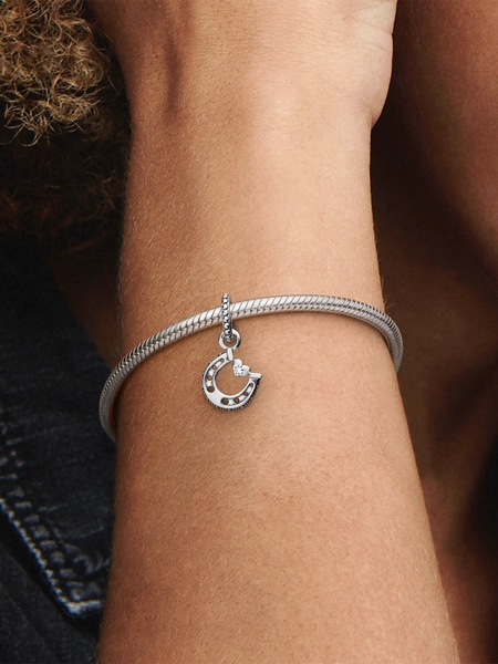 Good Luck Horseshoe Dangle Charm