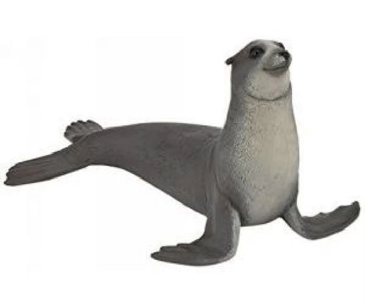 Sea Lion - Walmart.com