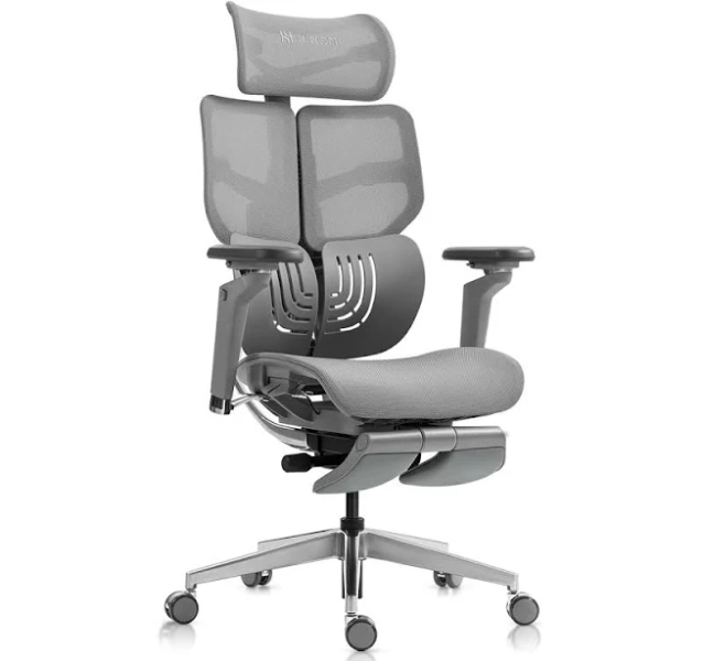 Hinomi X1 Ergonomic Chair