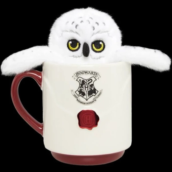 Acceptance Letter Mug & Plush Gift Set