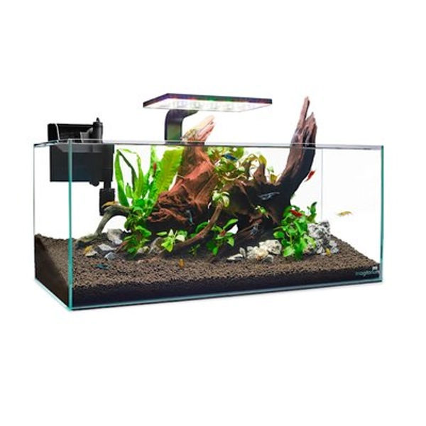 Imagitarium Shallow Glass Shrimp & Aquatic Plants Aquarium, 6.8 Gallons