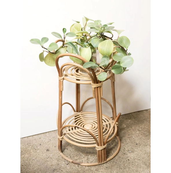 Vintage Large 2 Tiered Arched Rattan Plant Stand, Bohemian Decor, Wicker Planter Holder, Bamboo Cane Round Shelf, Boho Storage Organizer