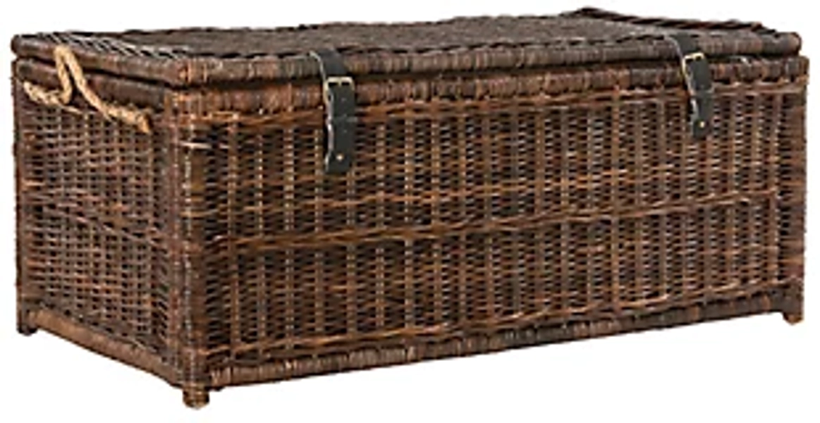 happimess Caden 46" Storage Trunk