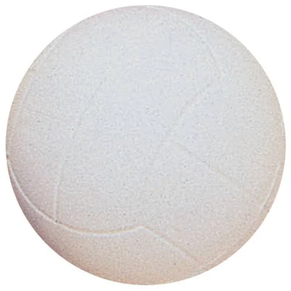 Dick Martin Sports Coated Foam Volleyball