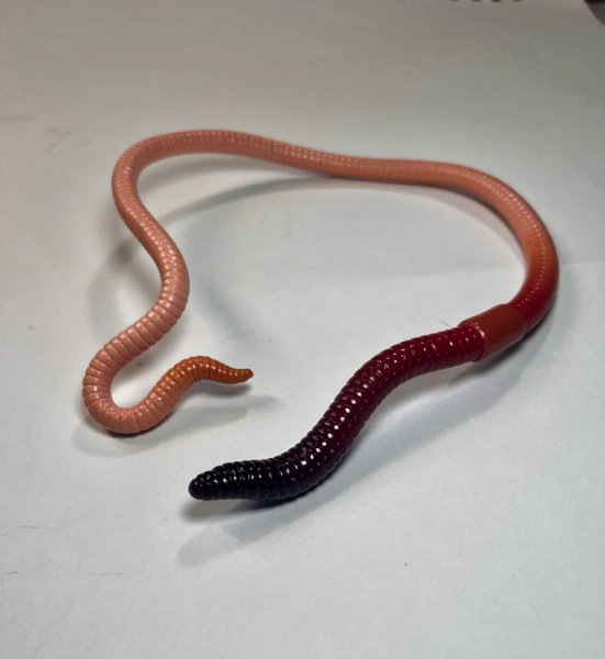 Standard Segmented Neck Cuff
