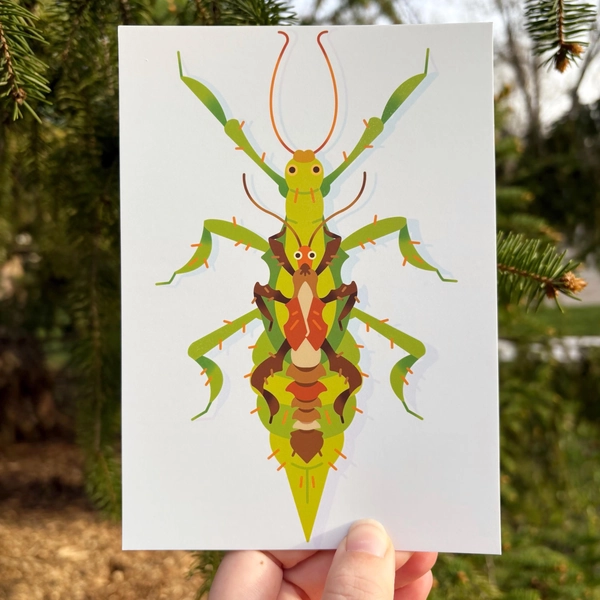 Jungle Nymphs Postcard Print | Leaf Bug Insect Entomology Cardstock Print