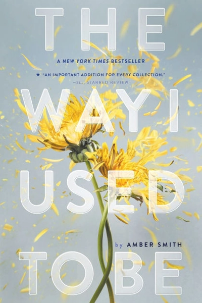 The Way I Used to Be|Paperback