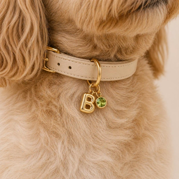 Custom Dog Collar Charm, Personalized Pet Initial Charm, Gold Birthstone Collar Charm, Dog Name Letter Charm, Gift for Dog Mom