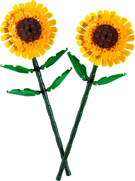 Girasoli