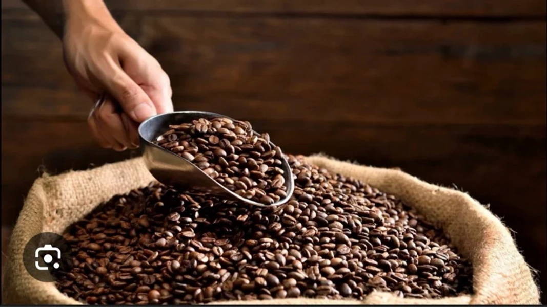 Café rico de grano 