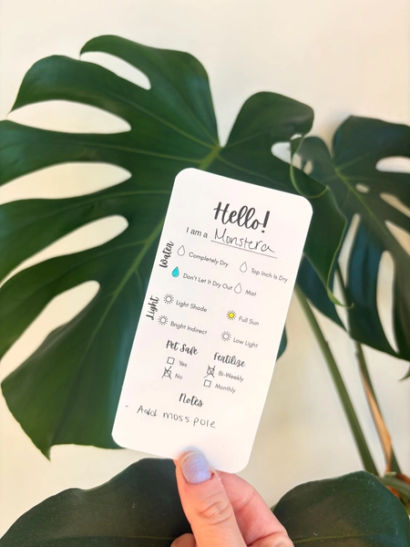 Plant Care Tags | Physical Product | Set of 10-50 | Label Cards for Plant Lovers