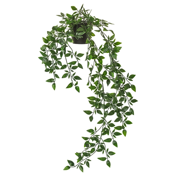 FEJKA kunstplant, binnen/buiten/hangend, 9 cm  - IKEA