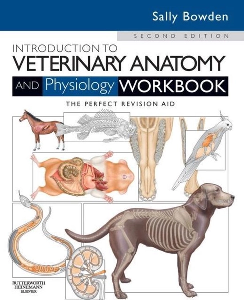 Intro To Veterinary Anatomy & Physiology | 9780702052323 | Sally Bowden | Boeken | bol