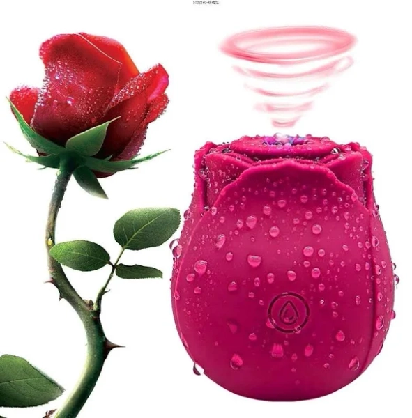 Female 10 Speed Rose Anniversary Birthday Gift Massage Tongue