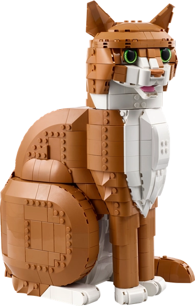 Gatto soriano