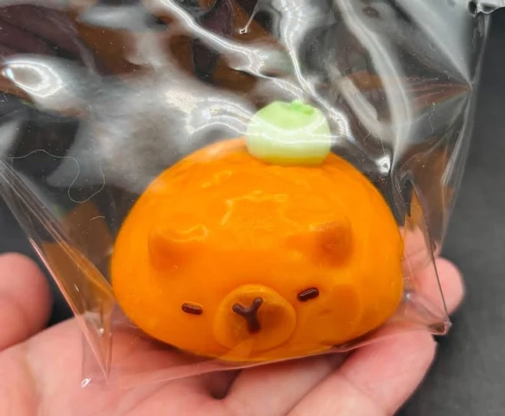 Capybara Taba Squishy Toy