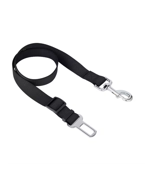 Pet car tether
