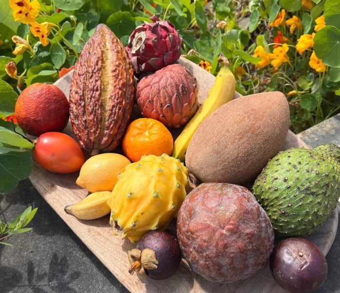 Miami Fruit - Best Tropical Fruit Boxes in the USA