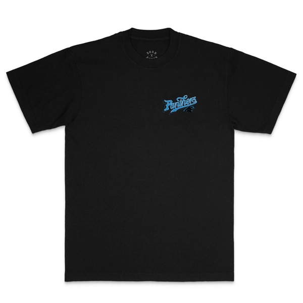 Unisex Carolina Panthers  Born x Raised Black Pro Script T-Shirt