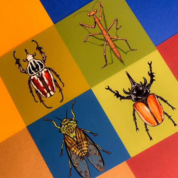 Bug Collage Art Print: Funky Beetle Insect Retro Wall Decor