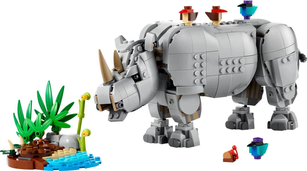 Wild Animals: Majestic Rhino with Birds
