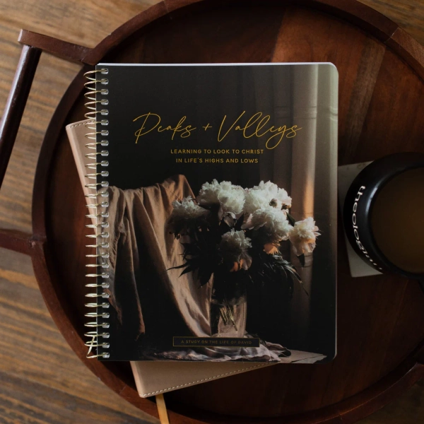 Peaks and Valleys | A Study on the Life of David