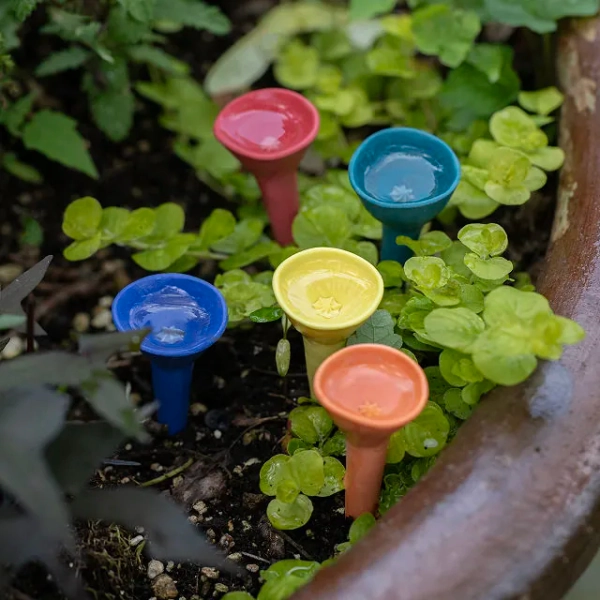Ceramic Bee Drinking Cup - Set of 5