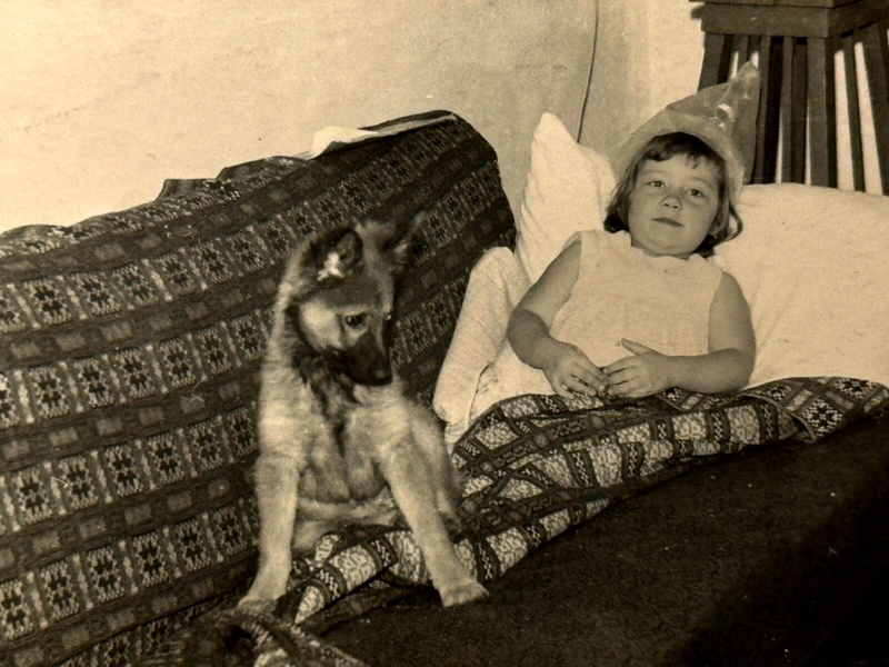 Vintage Photo 1970s Soviet Little Girl Dog Couch Portrait B&amp;W Snapshot Original