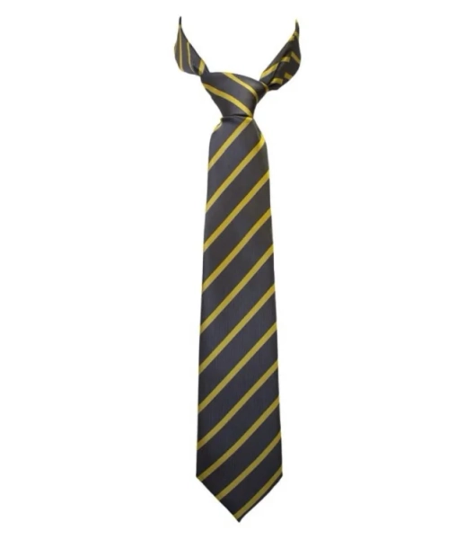 ALBERT PARK TIE | Albert Park College | Bob Stewart