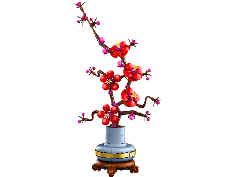 Plum Blossom