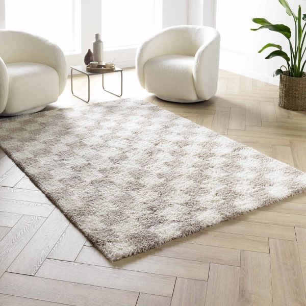 TAPIS RECTANGLE 160X230CM SHAGGY DAMERO